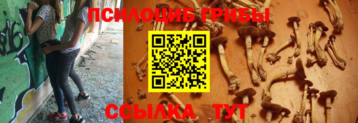 Псилоцибиновые грибы ЛСД Тулун