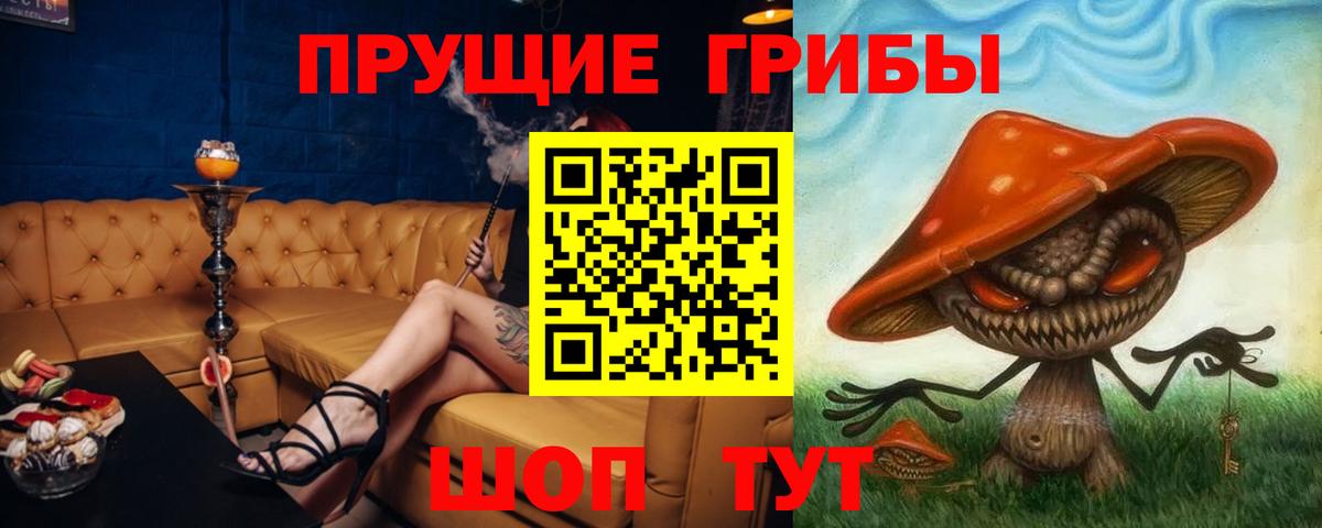 Тулун  где купить наркоту  Вход с VPN  Галлюциногенные грибы мухоморы  Псилоцибиновые грибы Cubensis 